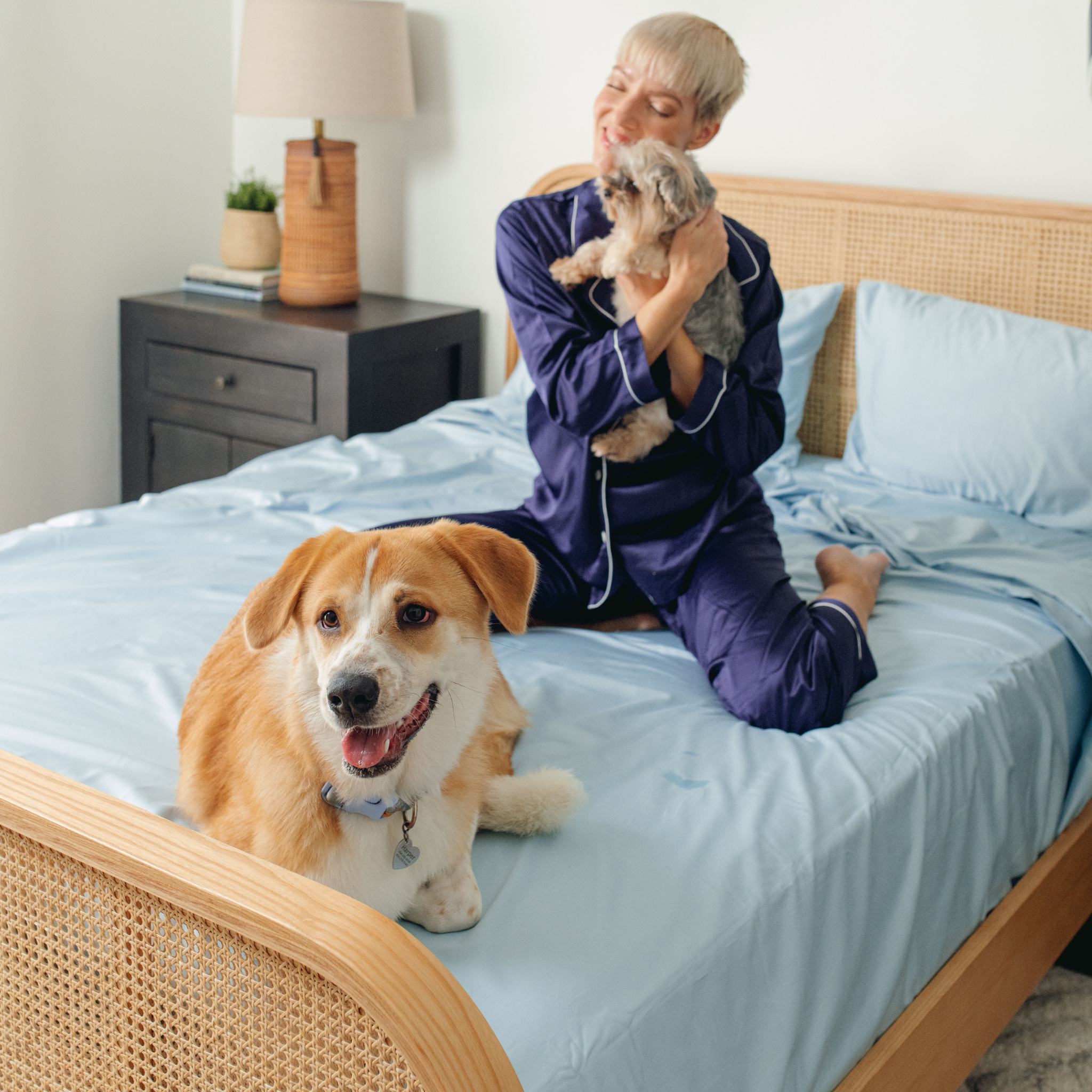 PupSheets™ Hair Resistant, Antimicrobial & Cooling Sheet Set - Sky Blue