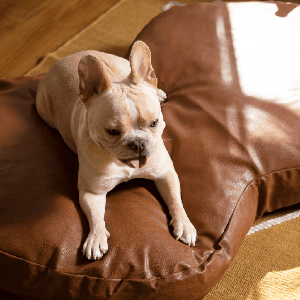 PupCloud™ Faux Leather Memory Foam Dog Bed - Bourbon