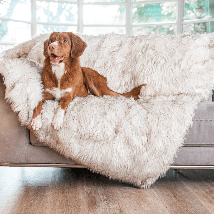 Paw.com x BarkBox PupProtector™ Waterproof Throw Blanket - White with Brown Accents