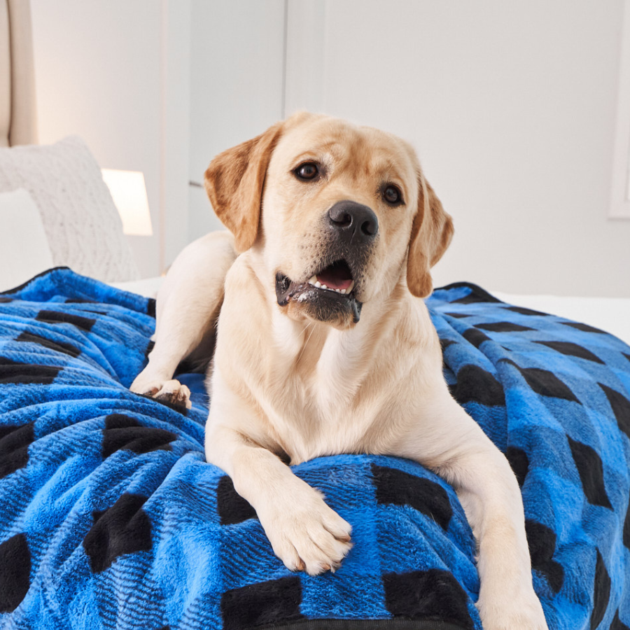 Paw.com x BarkBox PupProtector™ Waterproof Throw Blanket - Short Fur Blue Plaid