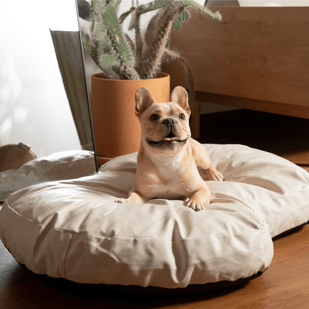 PupCloud™ Faux Leather Memory Foam Dog Bed - Cream