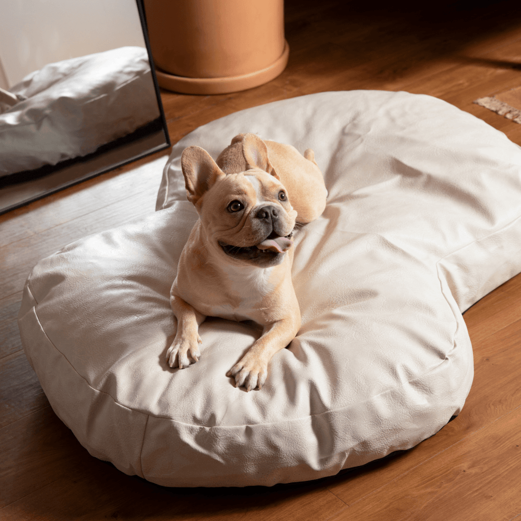 PupCloud™ Faux Leather Memory Foam Dog Bed - Cream