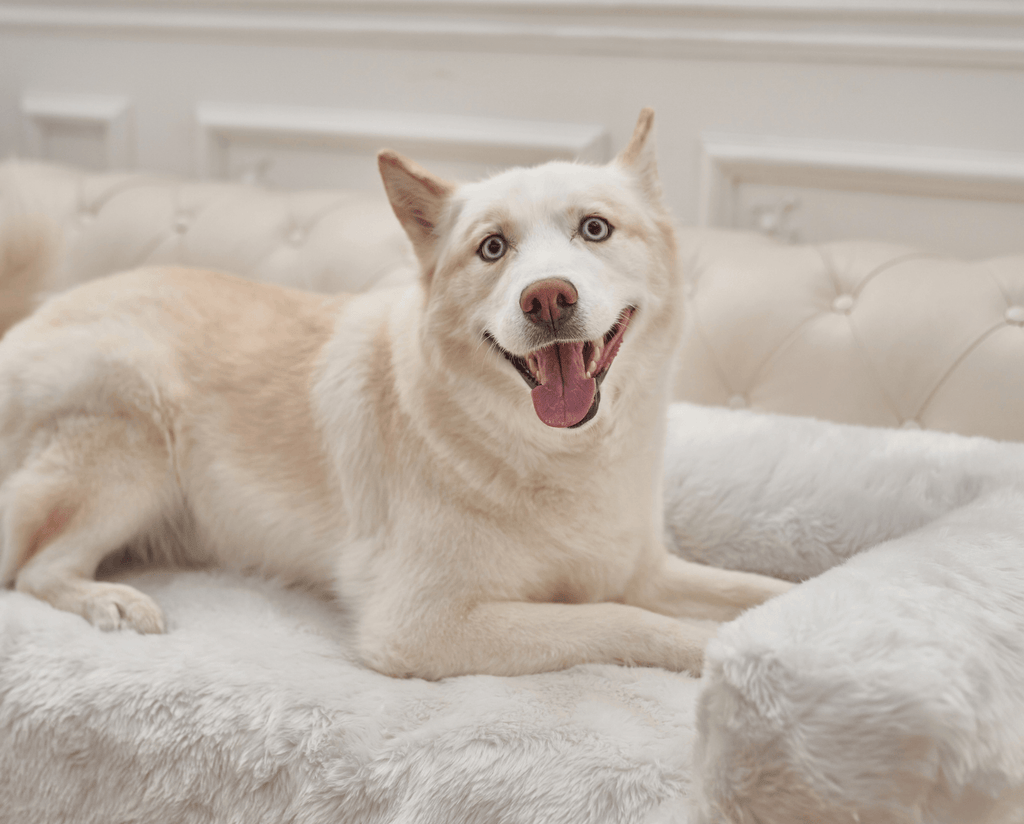 PupProtector™ Waterproof Couch Lounger - Polar White