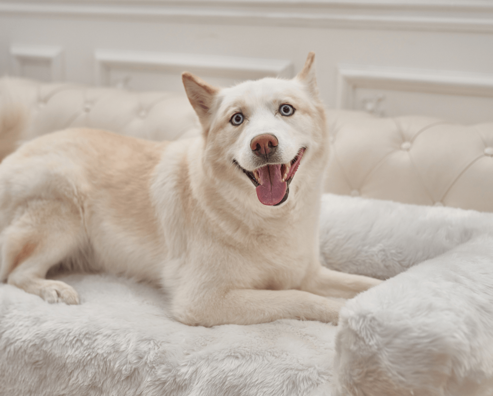 PupProtector™ Waterproof Couch Lounger - Polar White