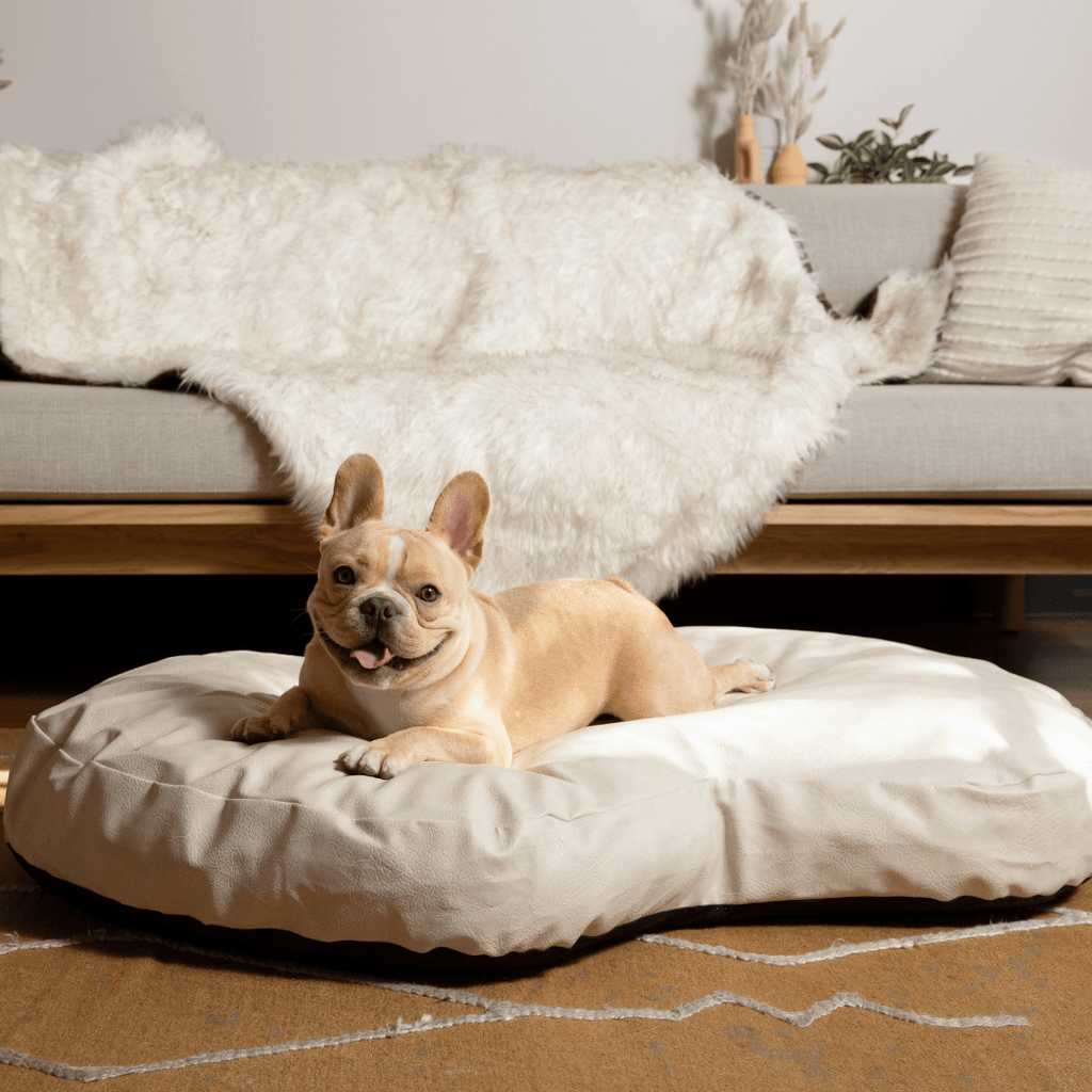 PupCloud™ Faux Leather Memory Foam Dog Bed - Cream