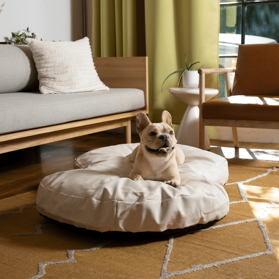 PupCloud™ Faux Leather Memory Foam Dog Bed - Cream
