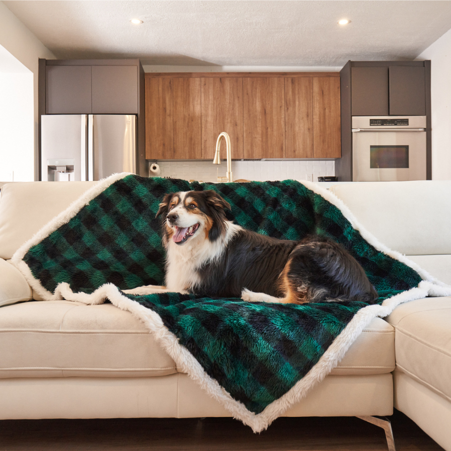 PupProtector™ Waterproof Throw Blanket - Green Buffalo Plaid