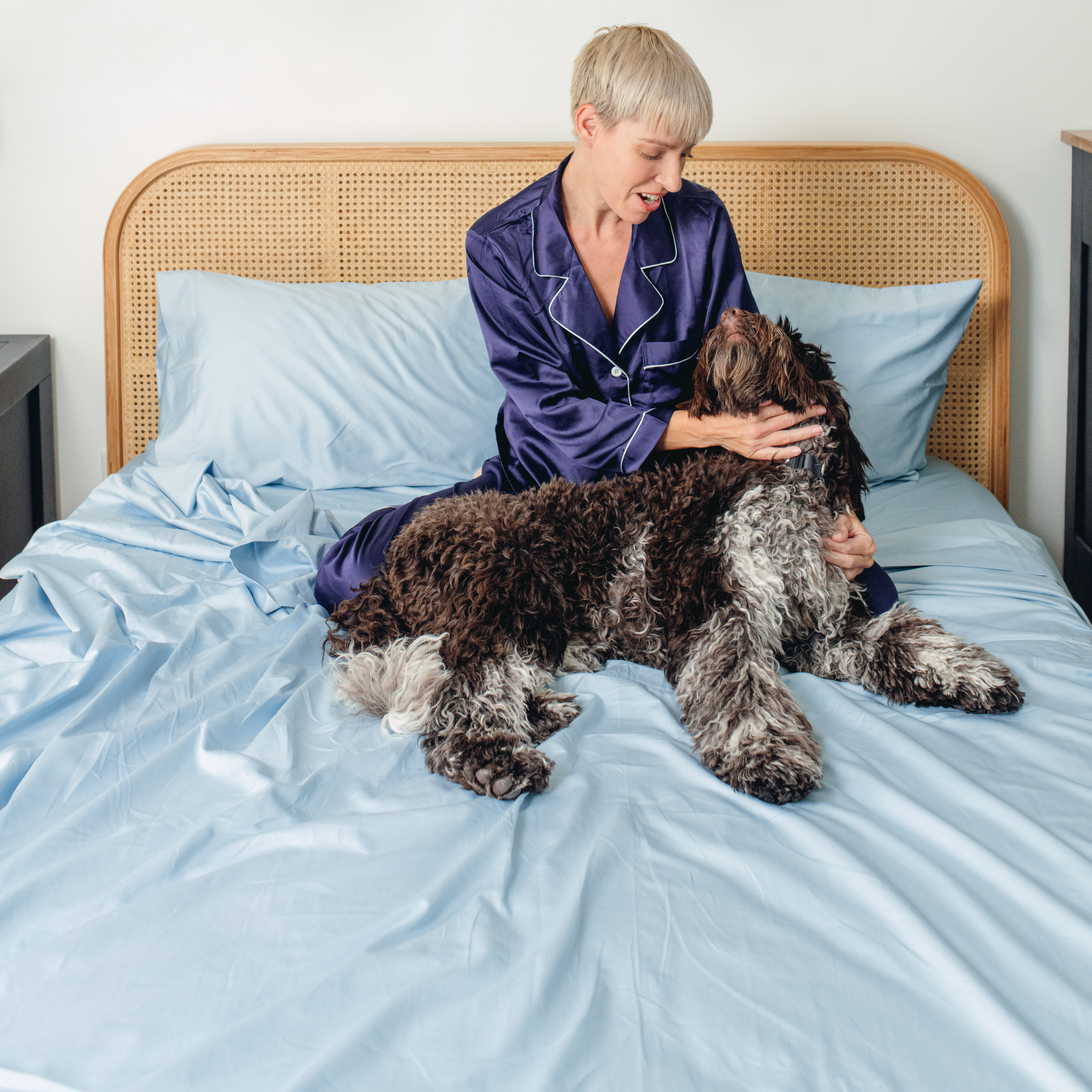 PupSheets™ Hair Resistant, Antimicrobial & Cooling Sheet Set - Sky Blue