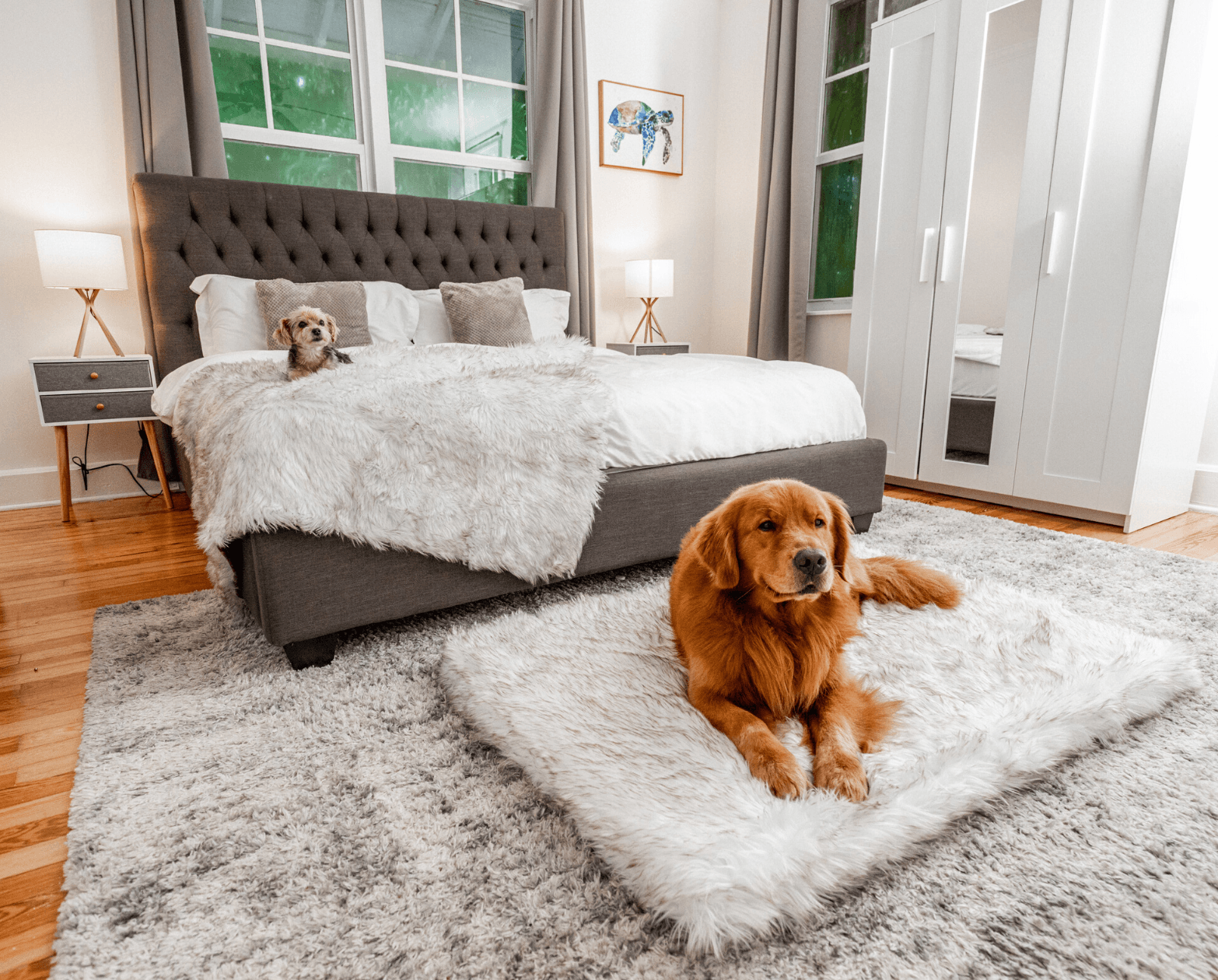 PupRug™ Orthopedic Bed + Matching Waterproof Blanket Bundle - Rectangle White with Brown Accents