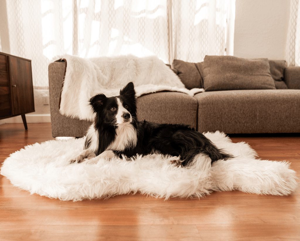 PupRug™ Orthopedic Bed + Matching Waterproof Blanket Bundle - Polar White
