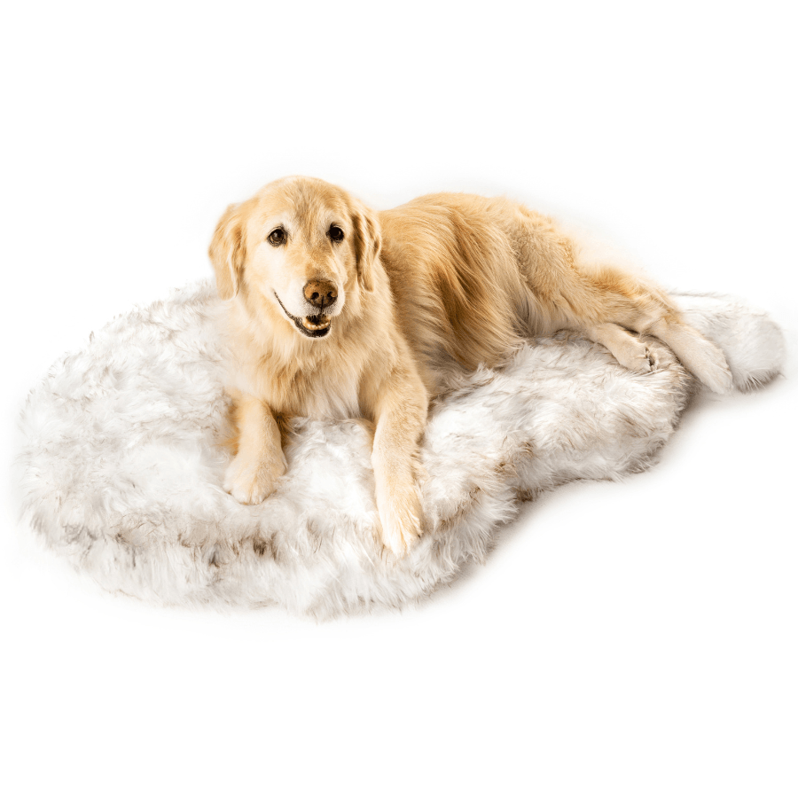 Paw.com x BarkBox PupRug™ Faux Fur Orthopedic Dog Bed - White with Brown Accents