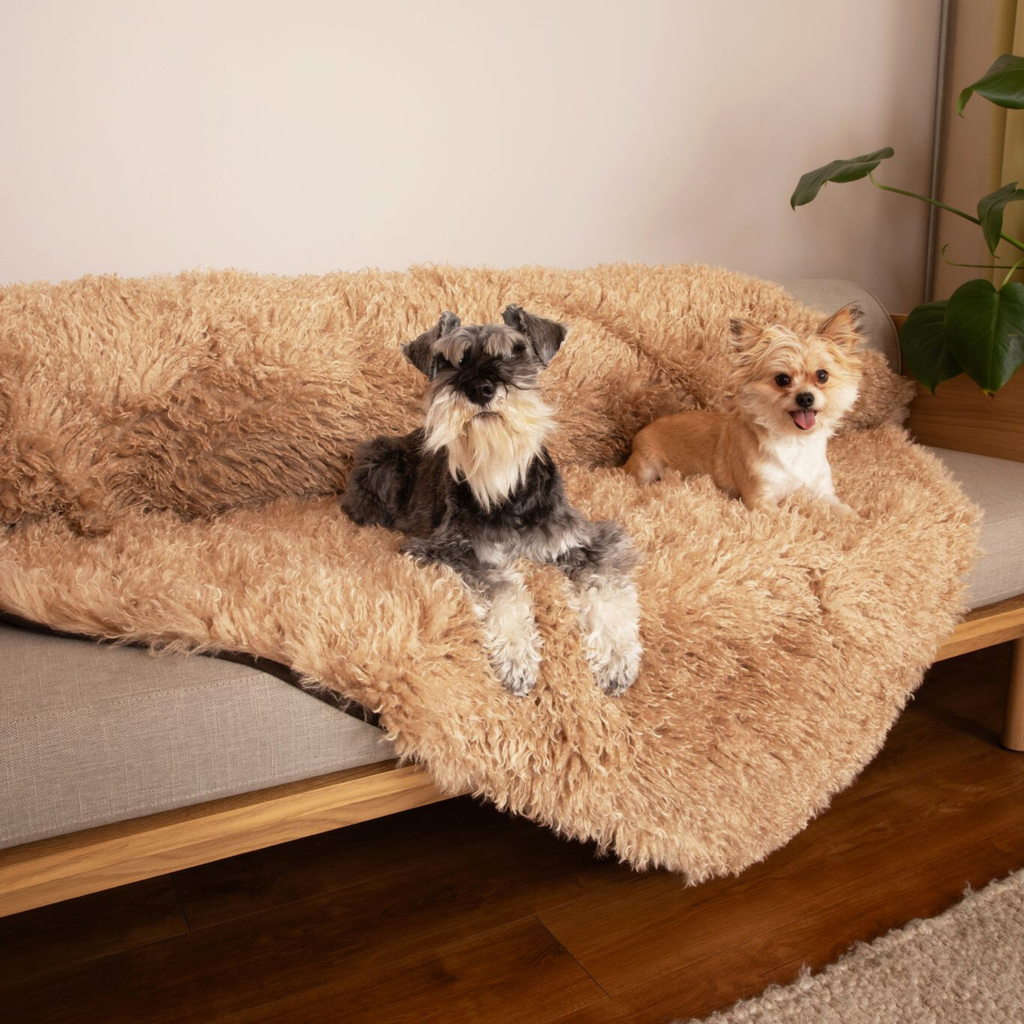 PupProtector™ Luxe Waterproof Faux Fur Blanket - Plush Sheep