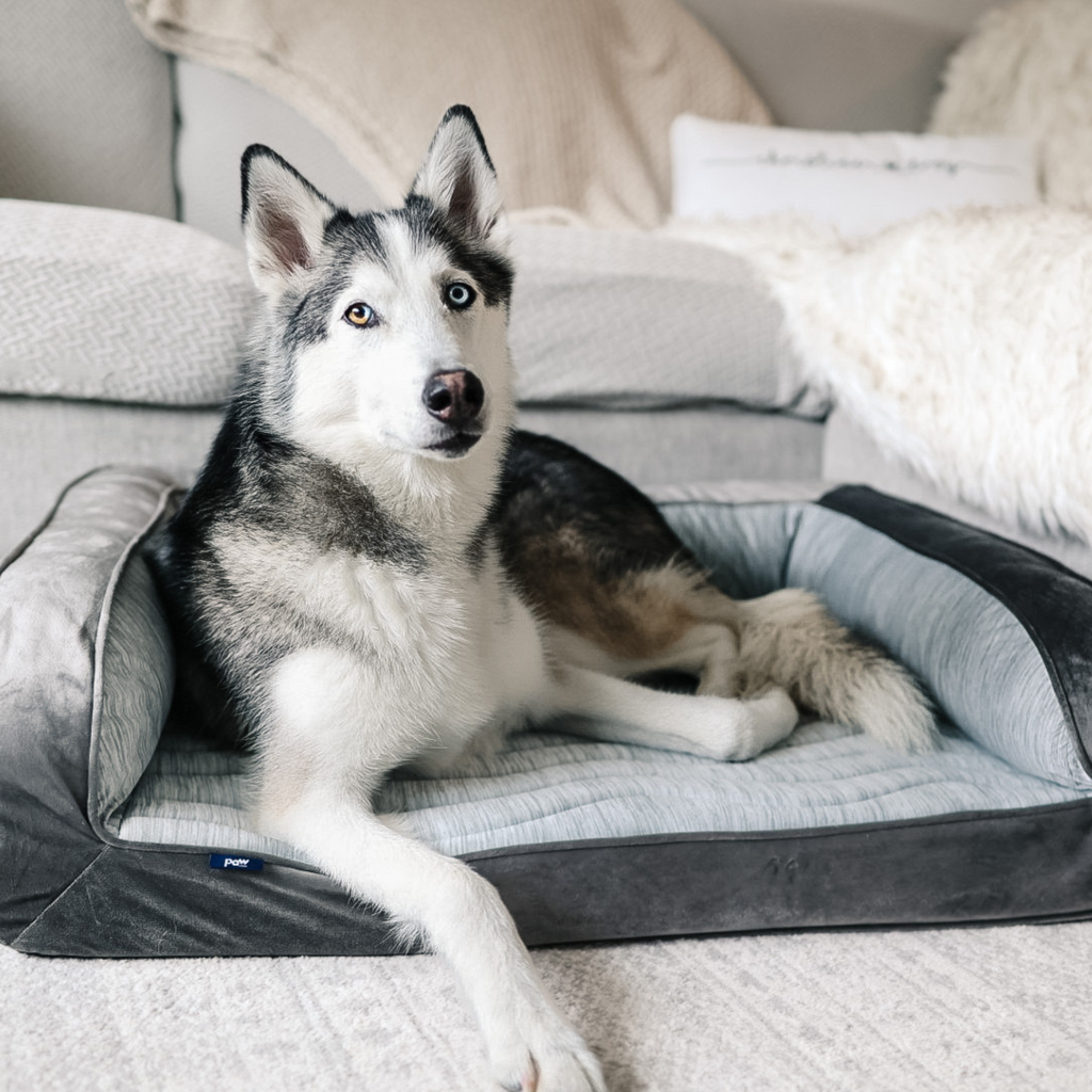 PupChill™ Cooling Bolster Dog Bed + Waterproof Blanket Bundle