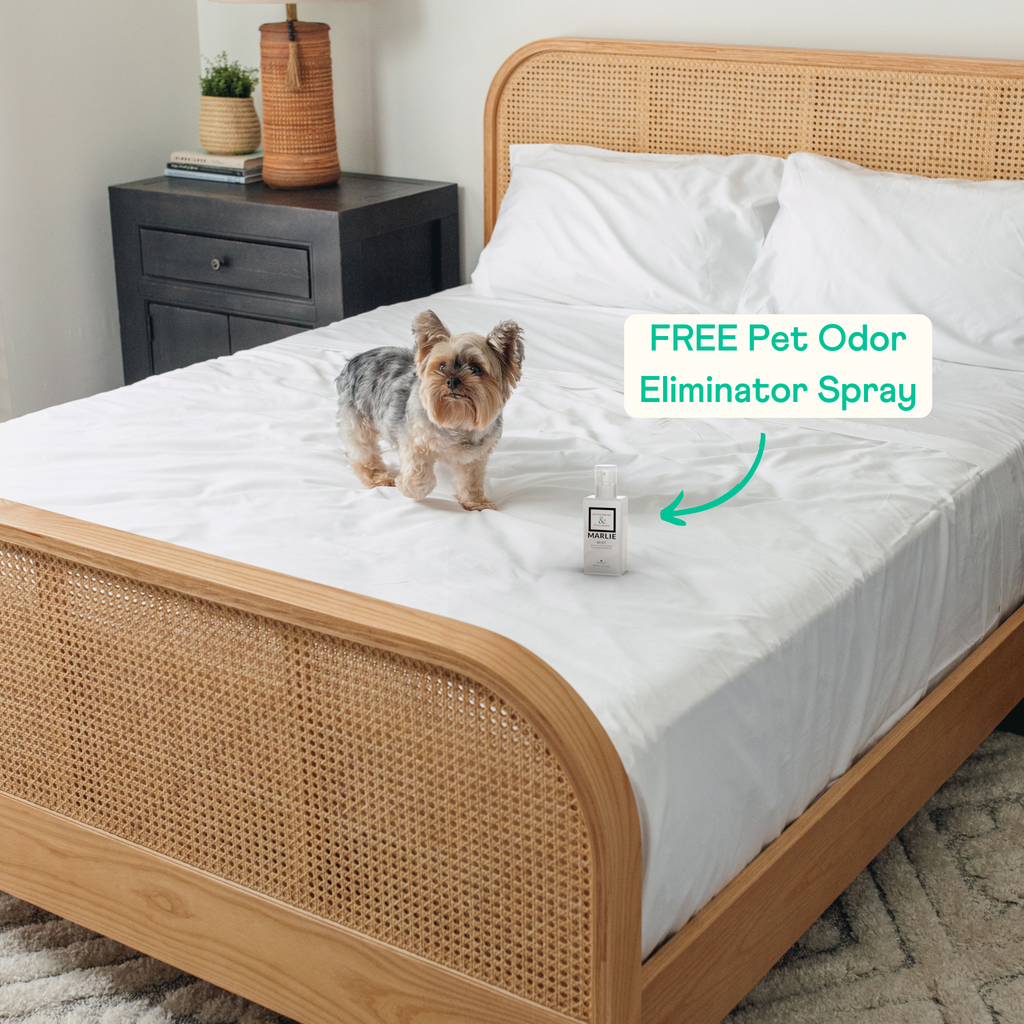 PupSheets™ Hair-Resistant, Antimicrobial, & Cooling Sheet Set + FREE Pet Odor Eliminator Spray