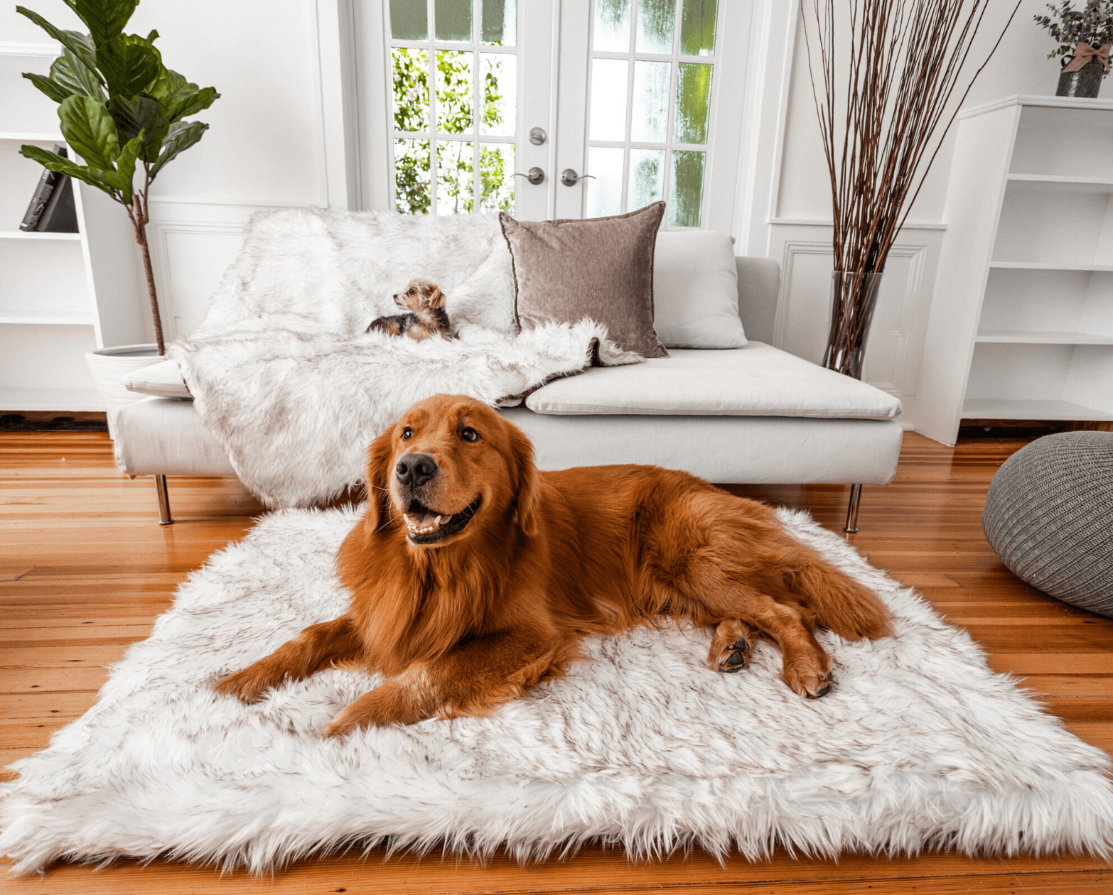 PupRug™ Orthopedic Bed + Matching Waterproof Blanket Bundle - Rectangle White with Brown Accents