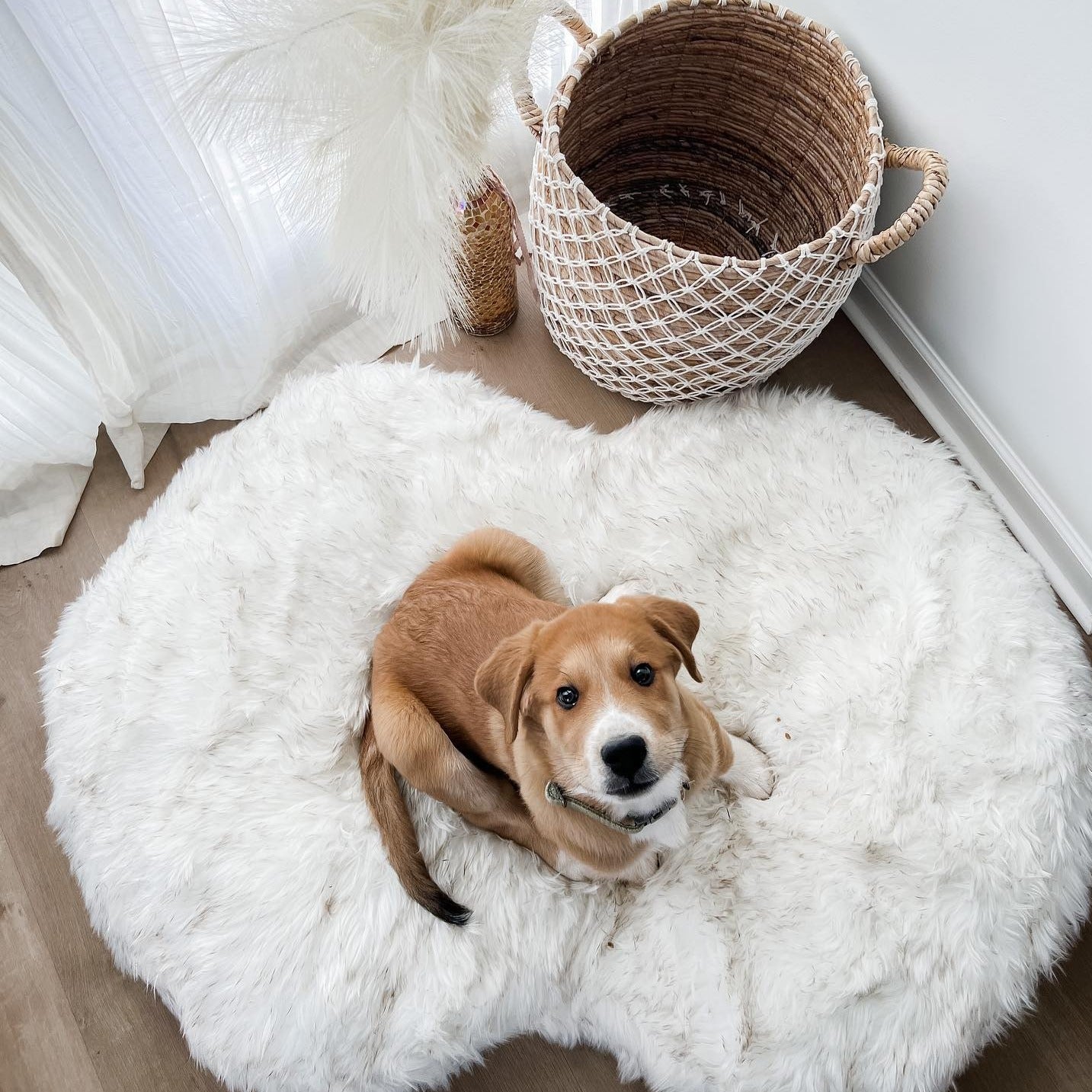 PupCloud™ Faux Fur Memory Foam Dog Bed - Curve White