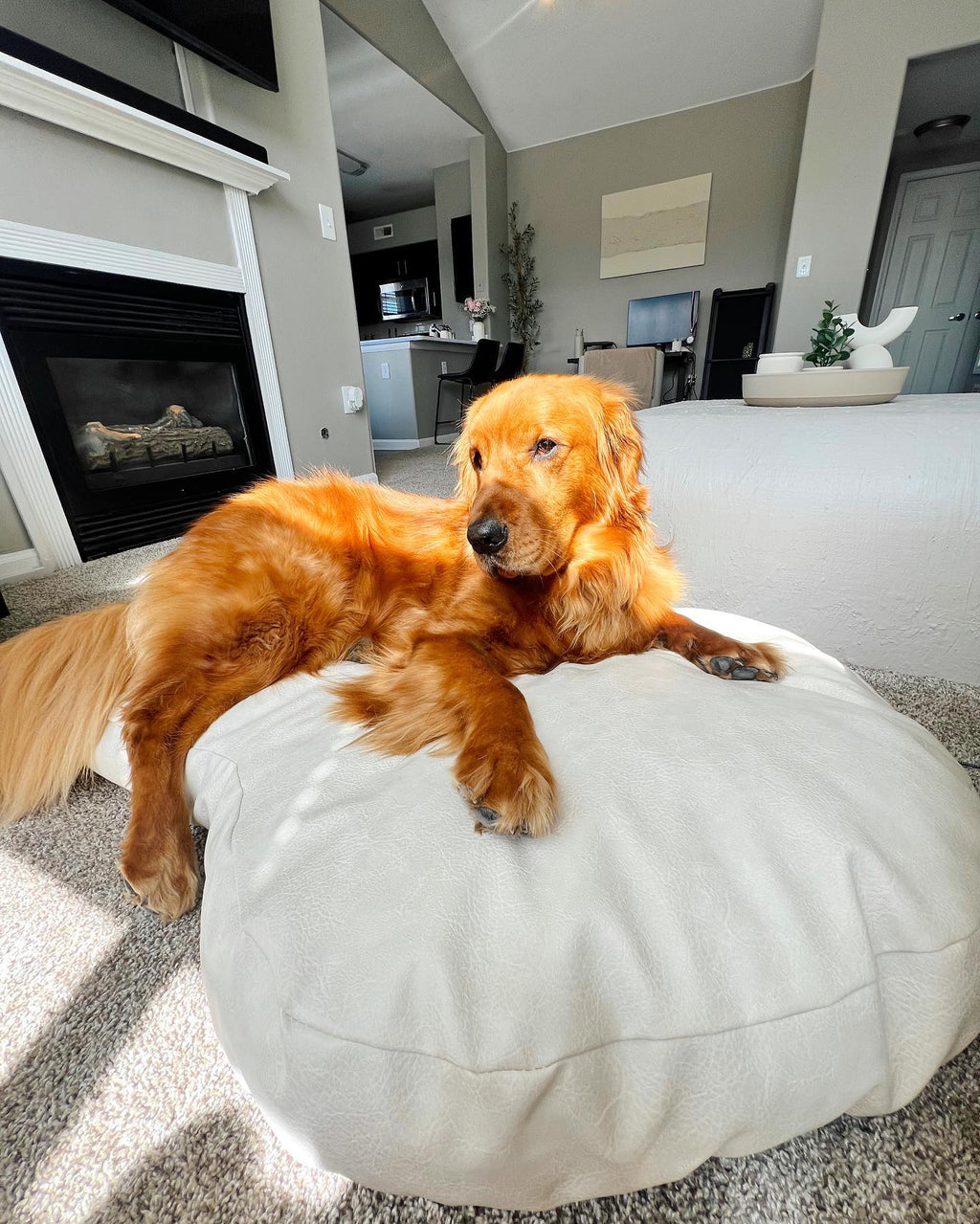 PupCloud™ Faux Leather Memory Foam Dog Bed - Cream