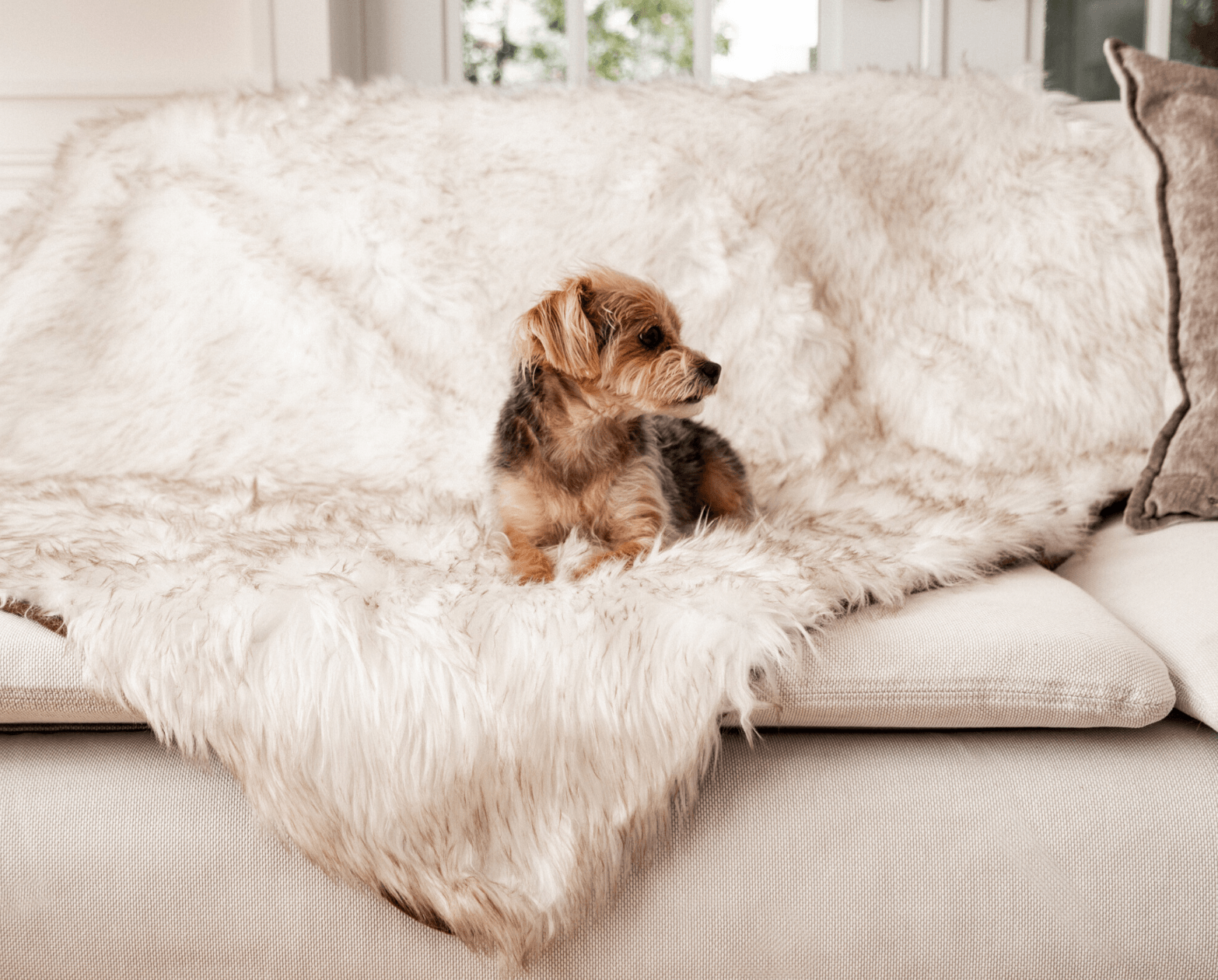 PupRug™ Orthopedic Bed + Matching Waterproof Blanket Bundle - Rectangle White with Brown Accents
