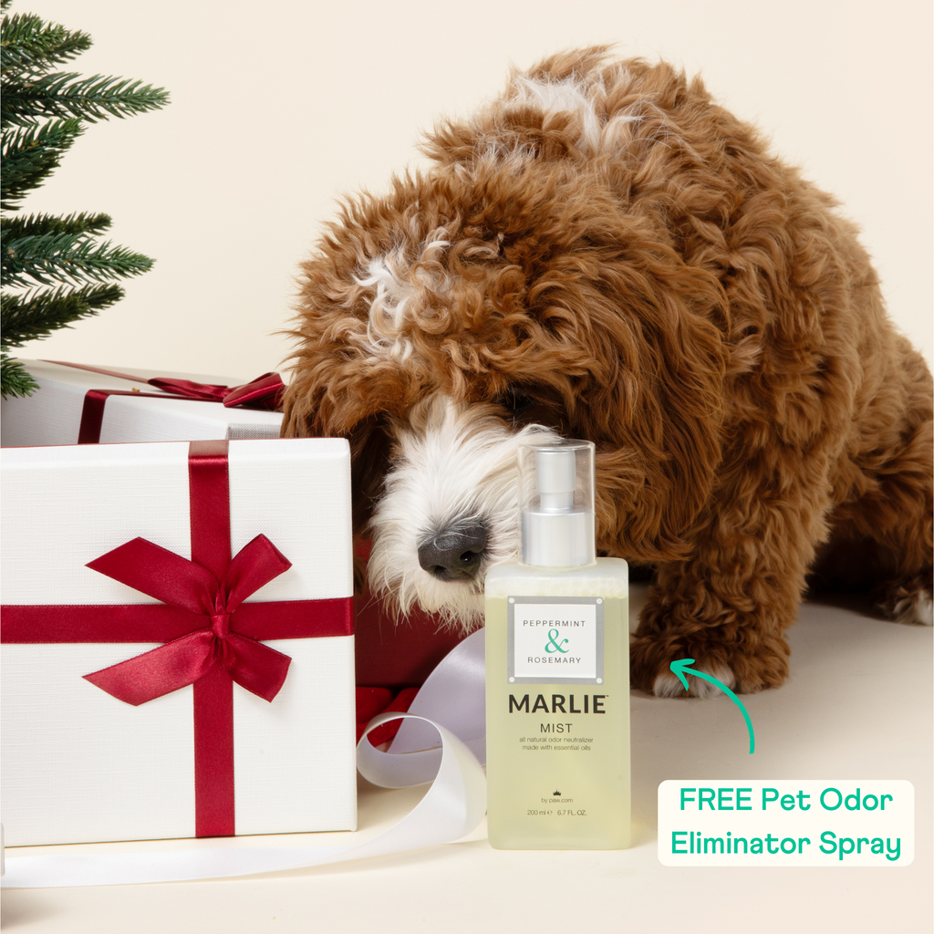 PupSheets™ Hair-Resistant, Antimicrobial, & Cooling Sheet Set + FREE Pet Odor Eliminator Spray