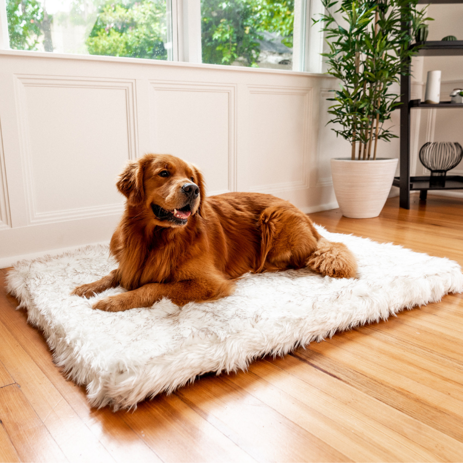 PupRug™ Faux Fur Orthopedic Dog Bed - Rectangle White with Brown Accents