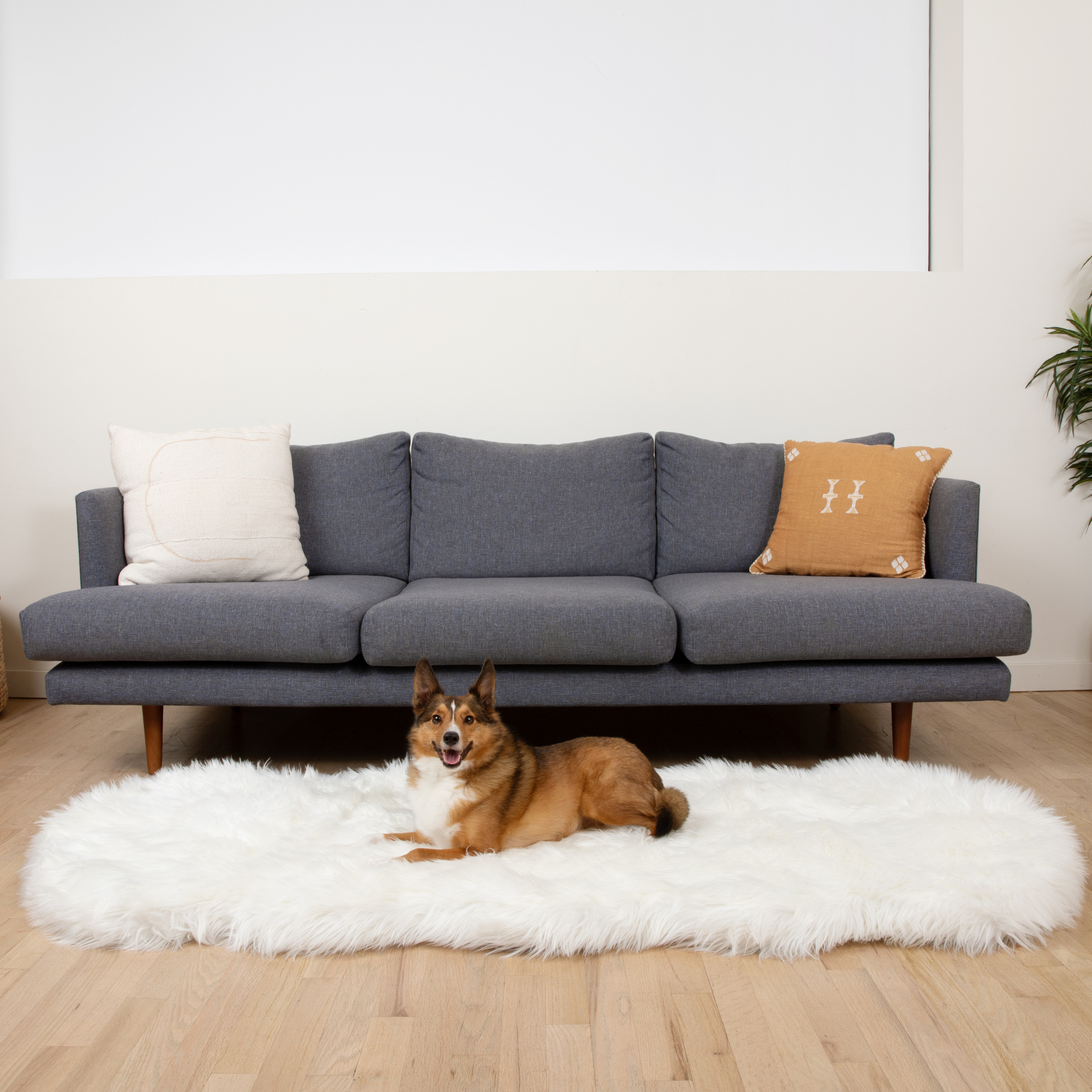 PupRug™ Runner Faux Fur Memory Foam Dog Bed - Curve Polar White