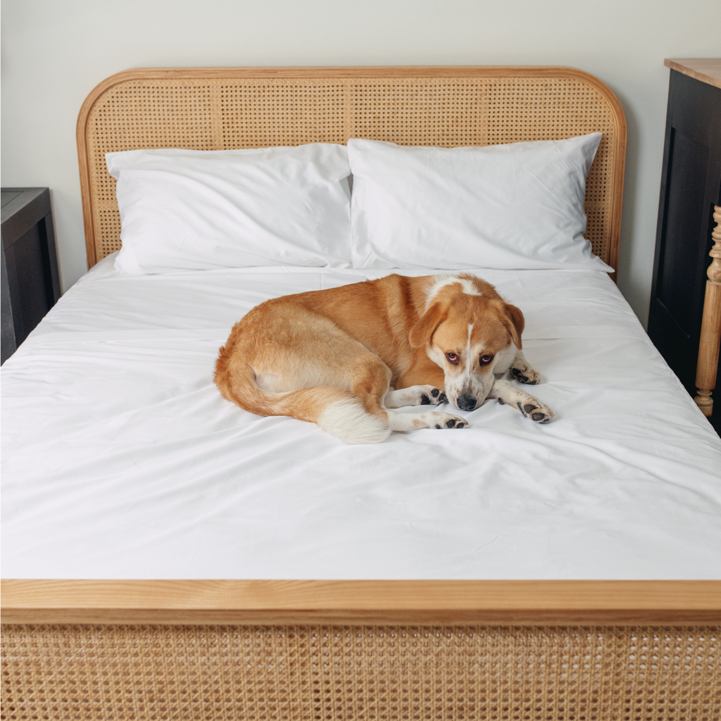 PupSheets™ Hair-Resistant, Antimicrobial, & Cooling Sheet Set + FREE Pet Odor Eliminator Spray
