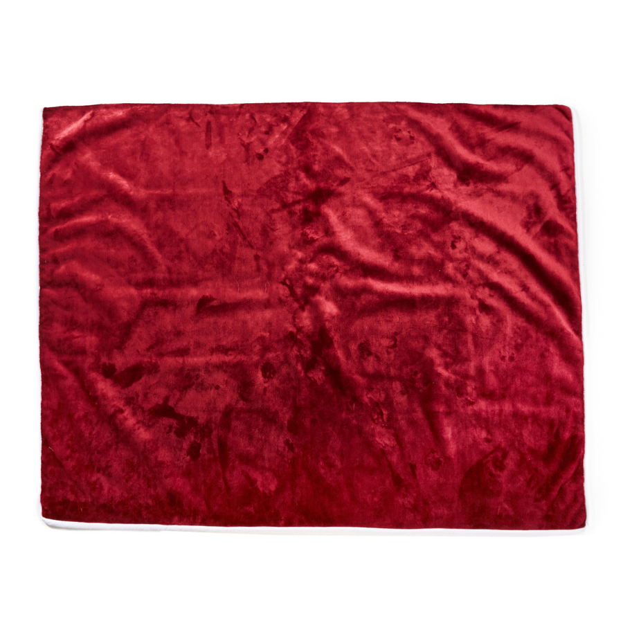 FREE Velvet PupProtector™ Waterproof Throw Blanket with $100+ Purchase