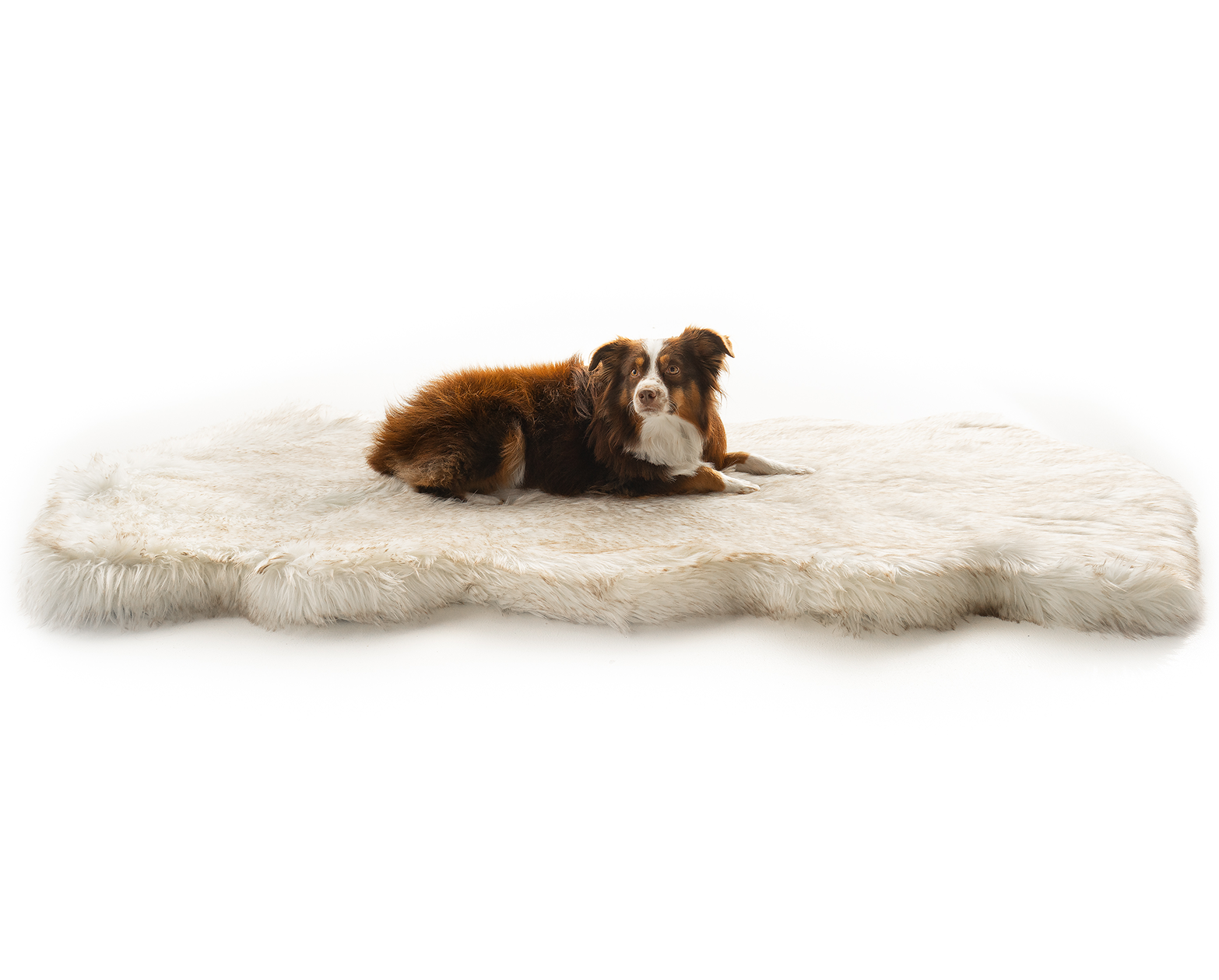 PupRug™ Runner Faux Fur Memory Foam Dog Bed Cover - Curve White with Brown Accents (Bed Not Included)