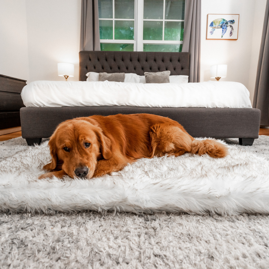 PupRug™ Faux Fur Orthopedic Dog Bed - Rectangle White with Brown Accents