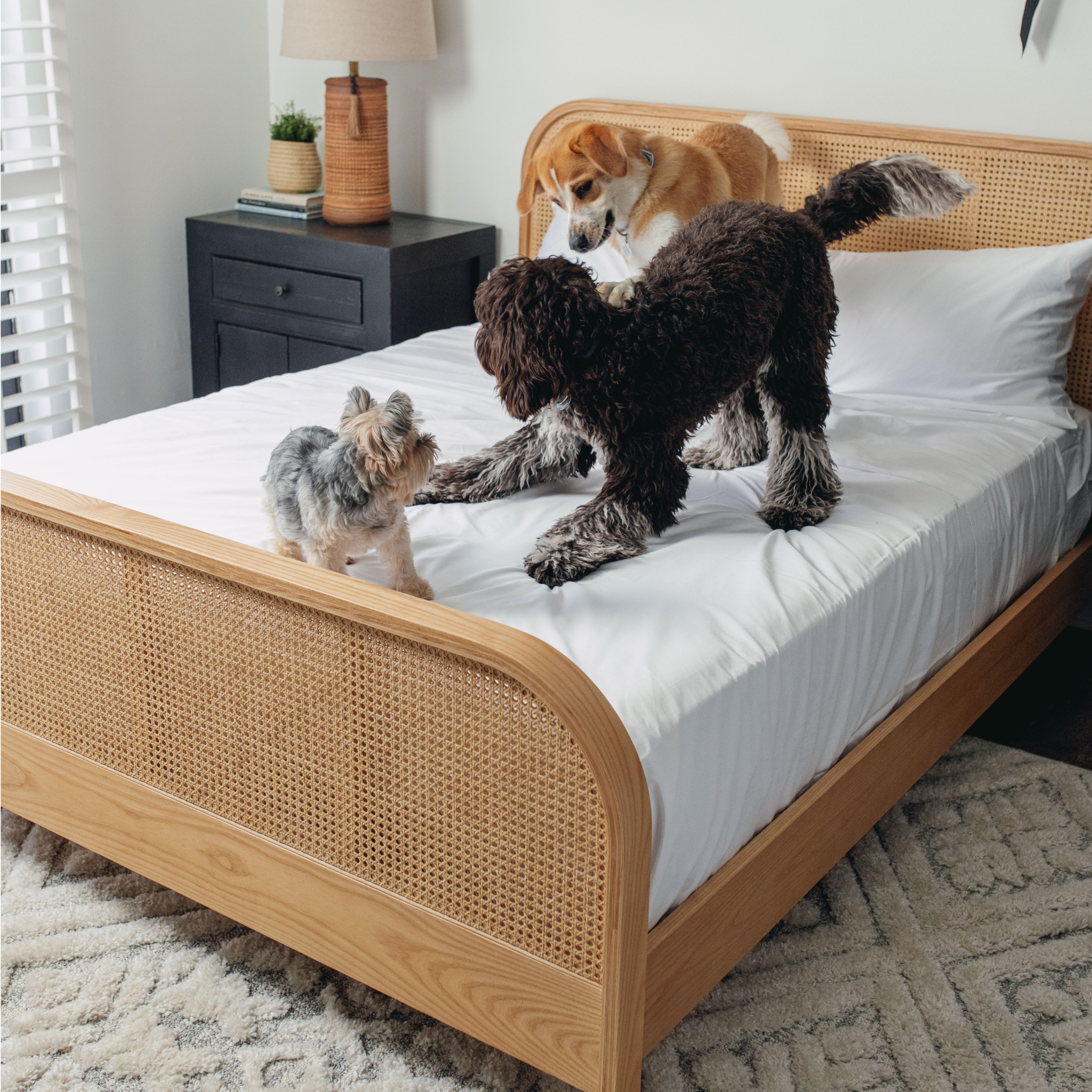PupSheets™ Hair-Resistant, Antimicrobial, & Cooling Sheet Set + FREE Pet Odor Eliminator Spray