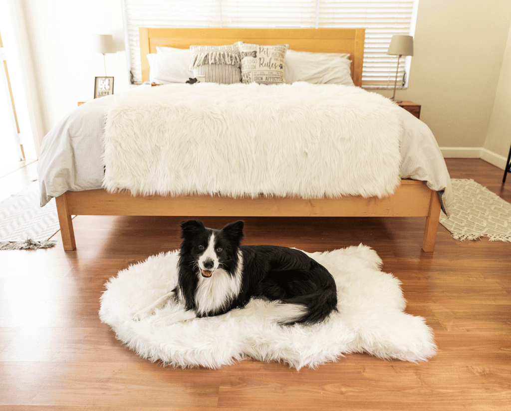 PupRug™ Orthopedic Bed + Matching Waterproof Blanket Bundle - Polar White