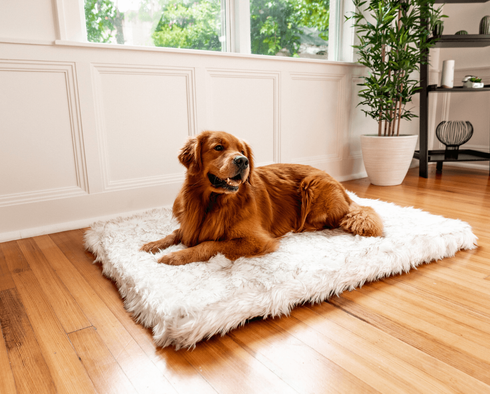 PupRug™ Orthopedic Bed + Matching Waterproof Blanket Bundle - Rectangle White with Brown Accents