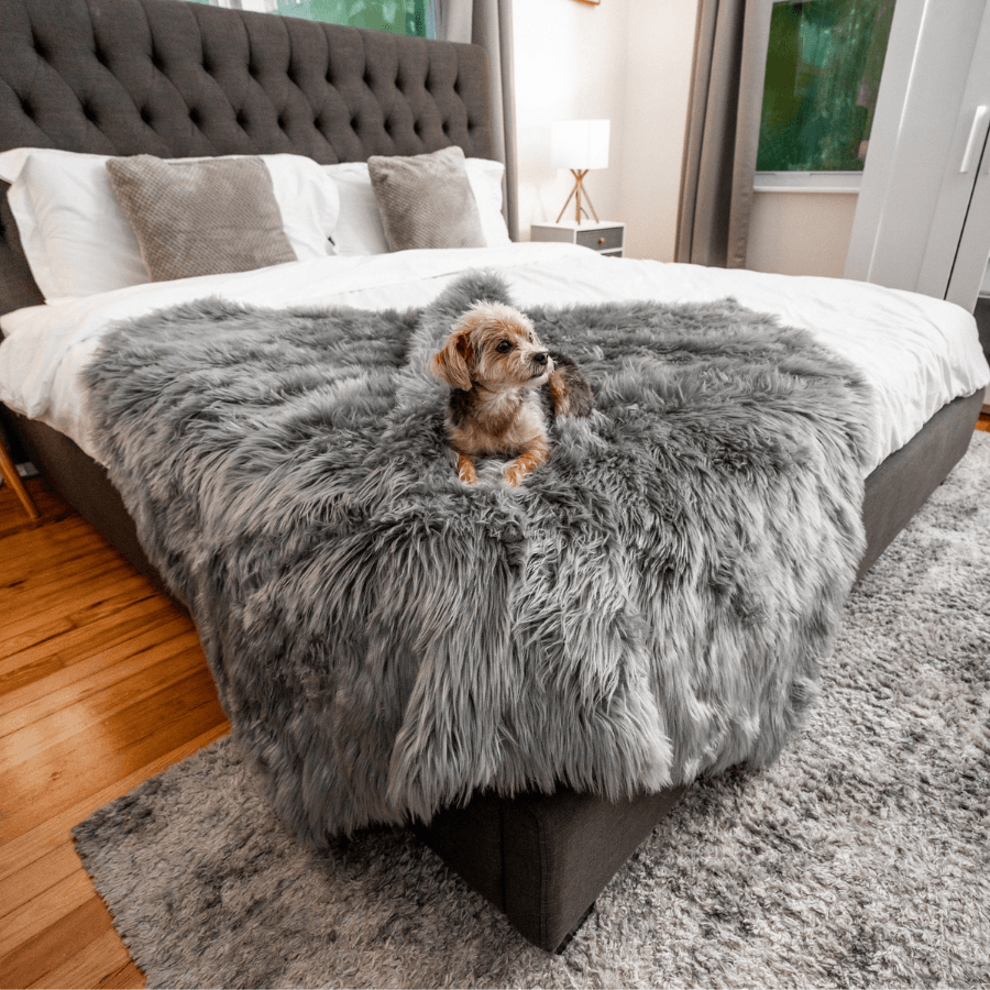 Paw.com x BarkBox PupProtector™ Waterproof Throw Blanket - Charcoal Grey