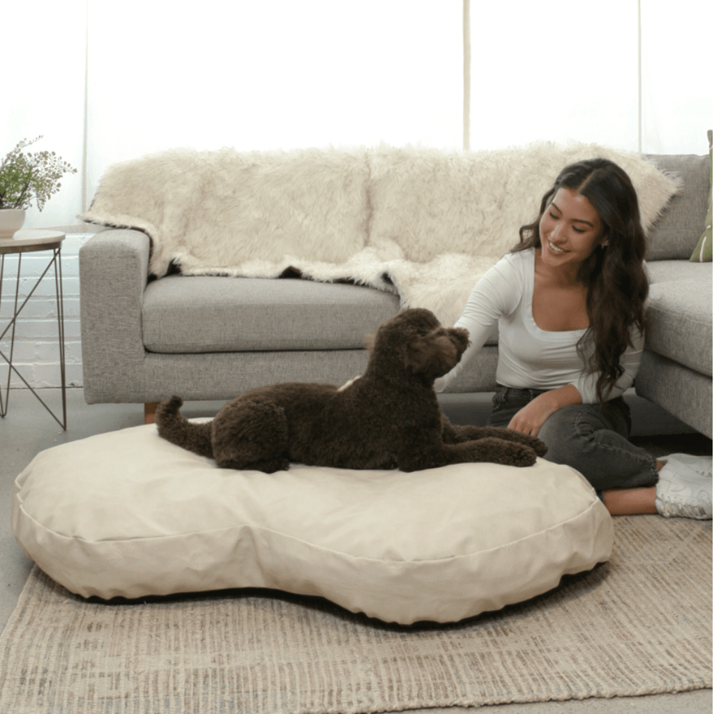 PupCloud™ Faux Leather Memory Foam Dog Bed - Cream