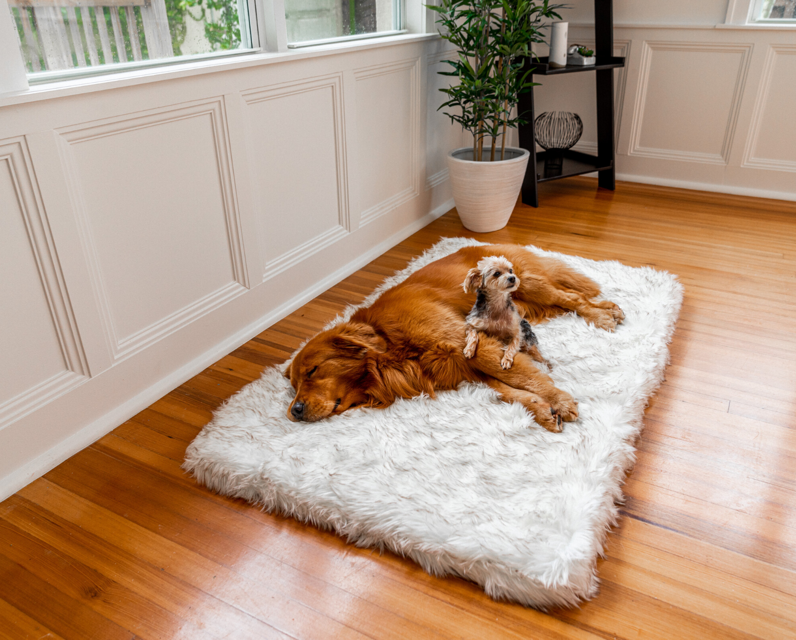 PupRug™ Faux Fur Orthopedic Dog Bed - Rectangle White with Brown Accents