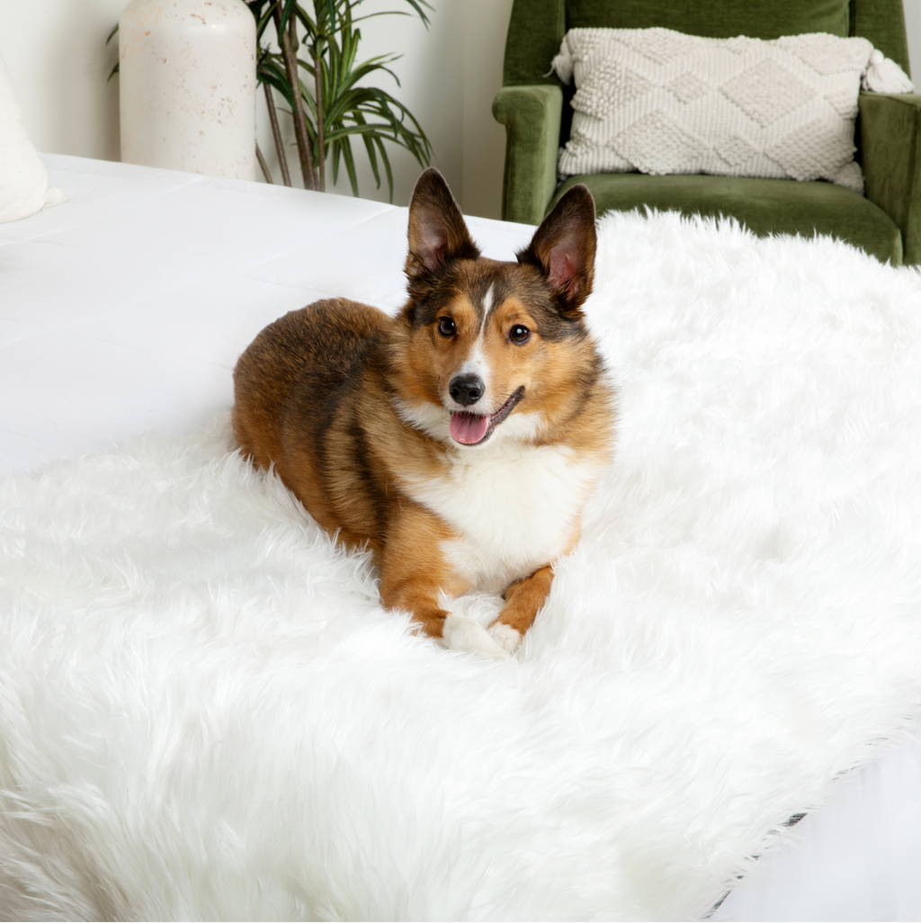 PupProtector™ Waterproof Bed Runner - Polar White