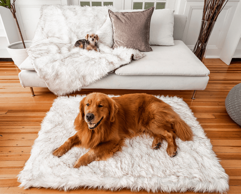 PupRug™ Orthopedic Bed + Matching Waterproof Blanket Bundle - Rectangle White with Brown Accents