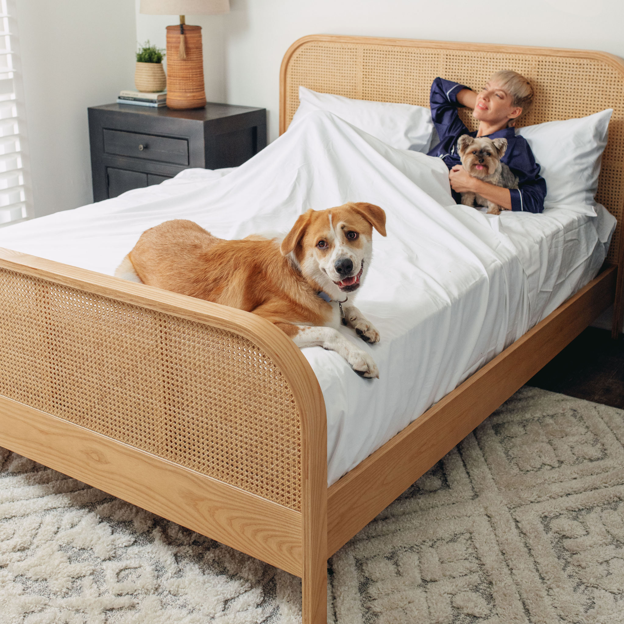 PupSheets™ Hair-Resistant, Antimicrobial, & Cooling Sheet Set + FREE Pet Odor Eliminator Spray