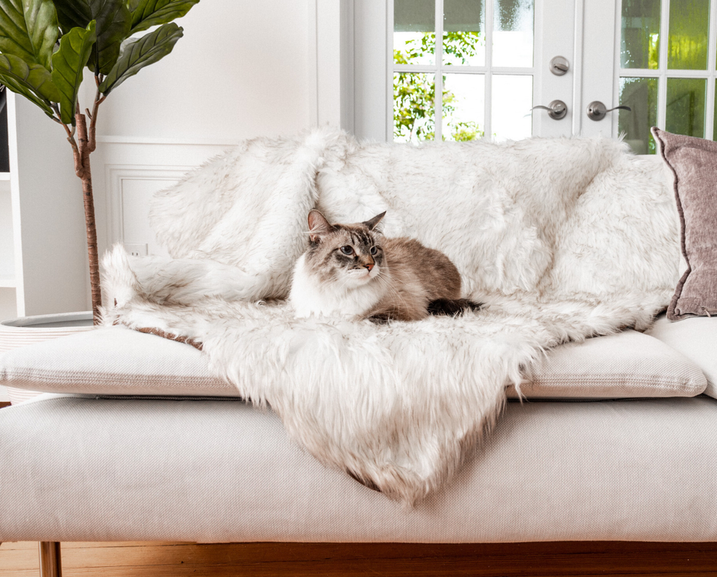 CatNap™ Anti-Scratch & Waterproof Throw Blanket - White with Brown Accents
