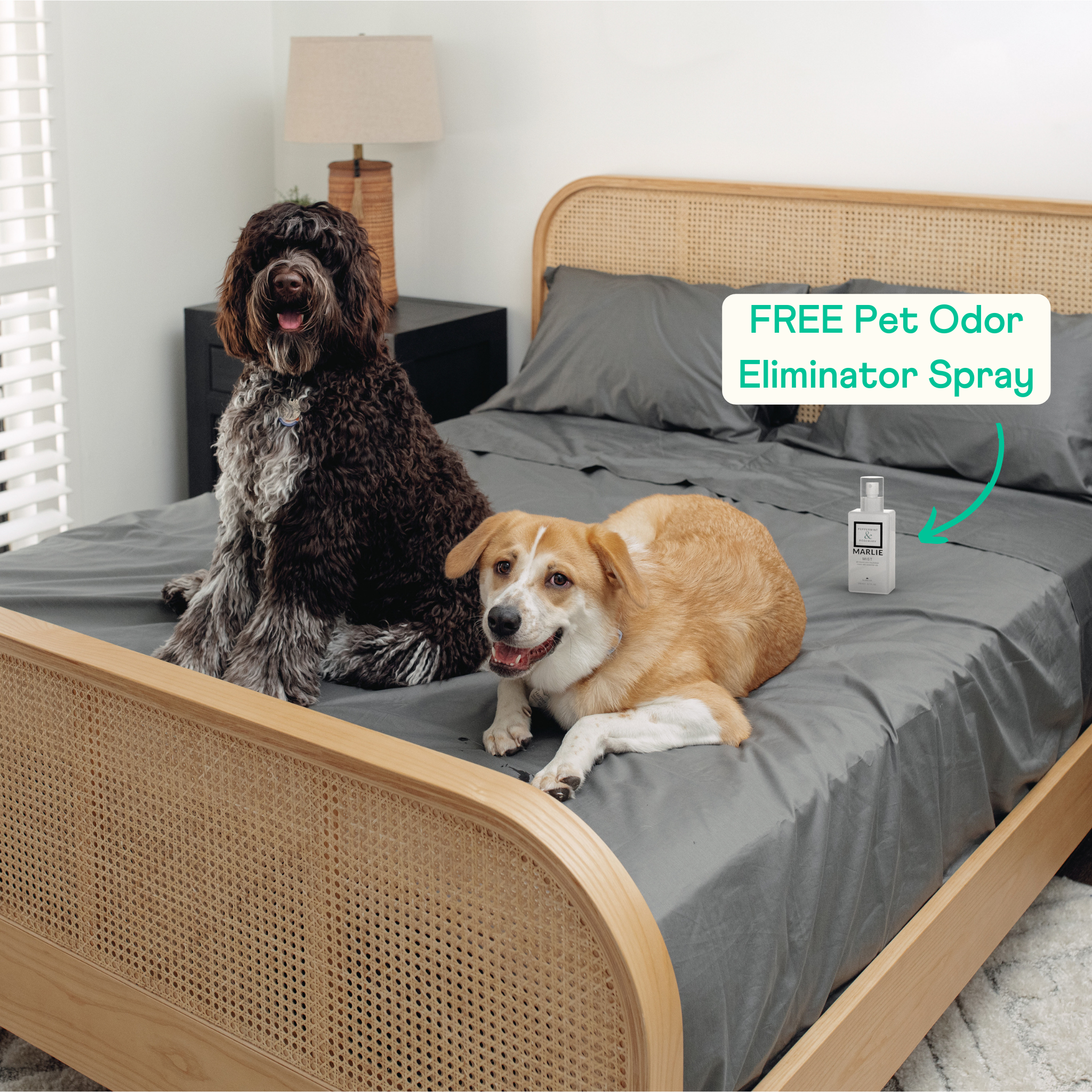 PupSheets™ Hair-Resistant, Antimicrobial, & Cooling Sheet Set + FREE Pet Odor Eliminator Spray