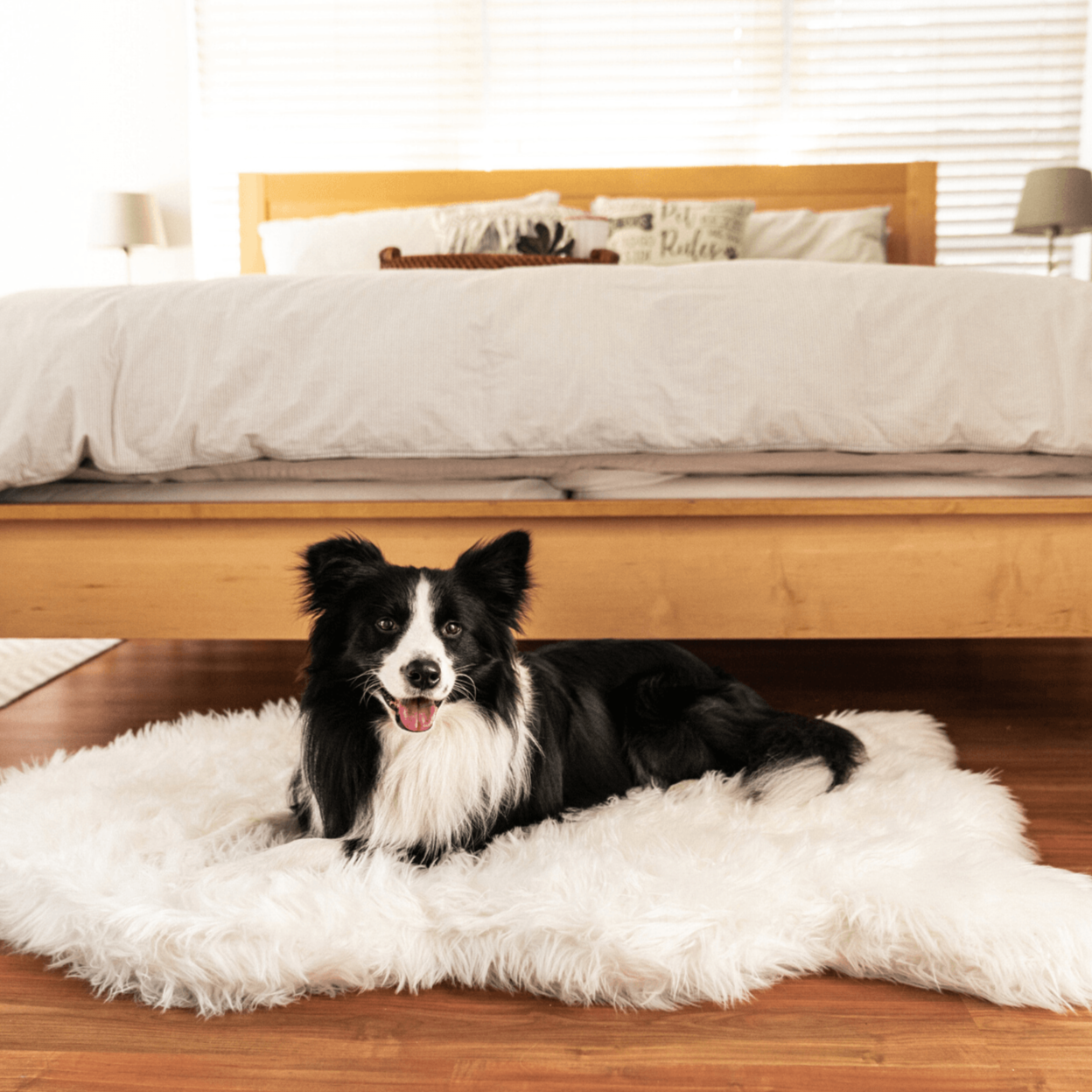 Paw.com x BarkBox PupRug™ Faux Fur Orthopedic Dog Bed - Polar White