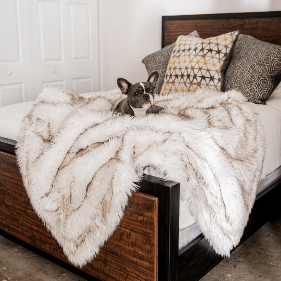 Paw.com x BarkBox PupProtector™ Waterproof Throw Blanket - White with Brown Accents