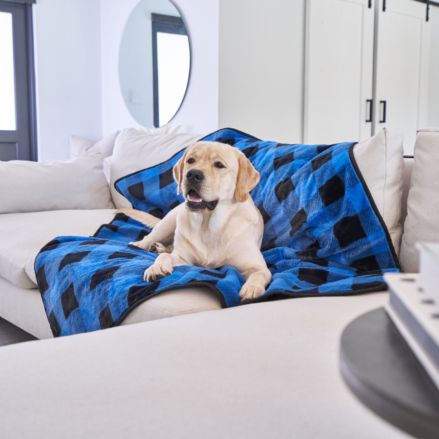 Paw.com x BarkBox PupProtector™ Waterproof Throw Blanket - Short Fur Blue Plaid