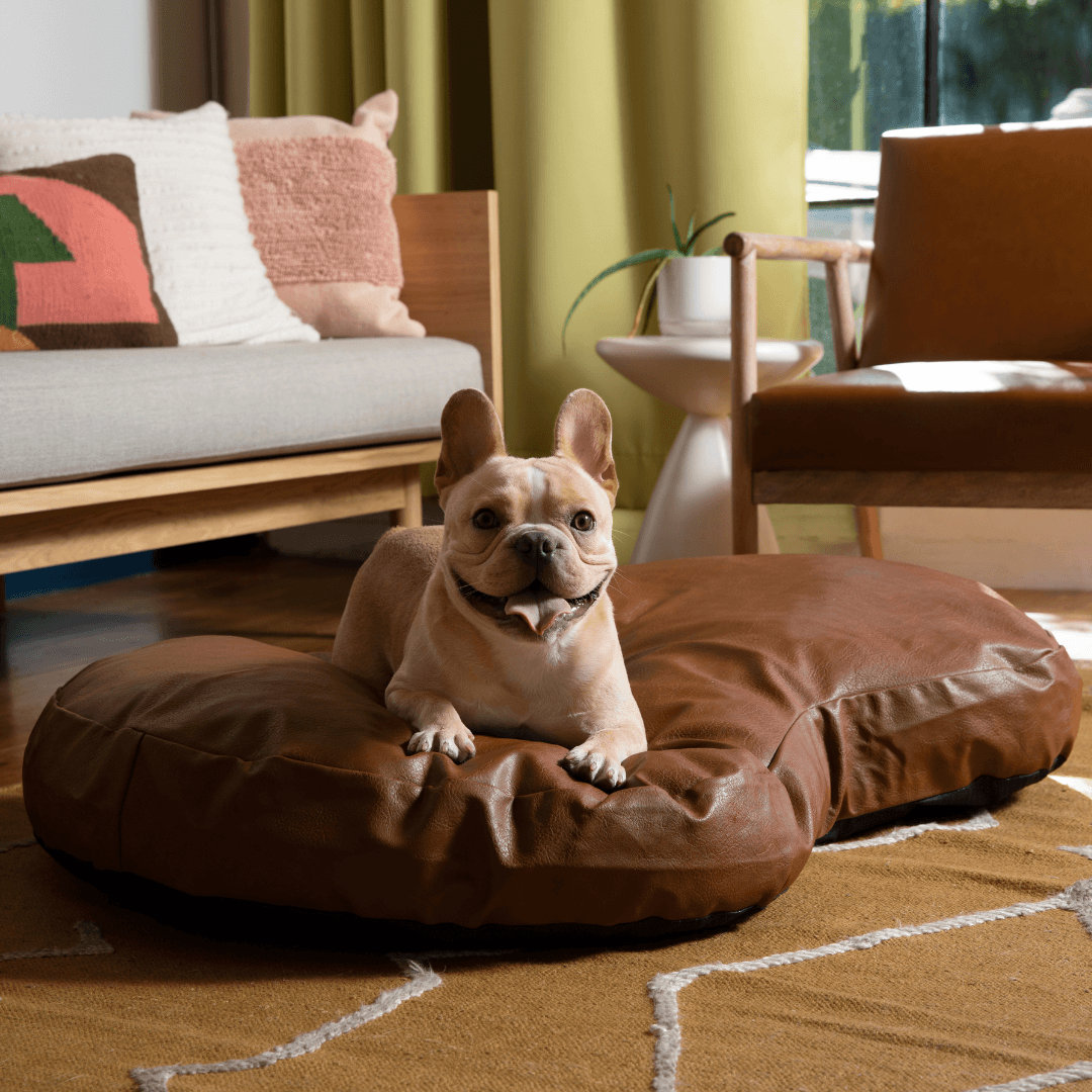 PupCloud™ Faux Leather Memory Foam Dog Bed - Bourbon