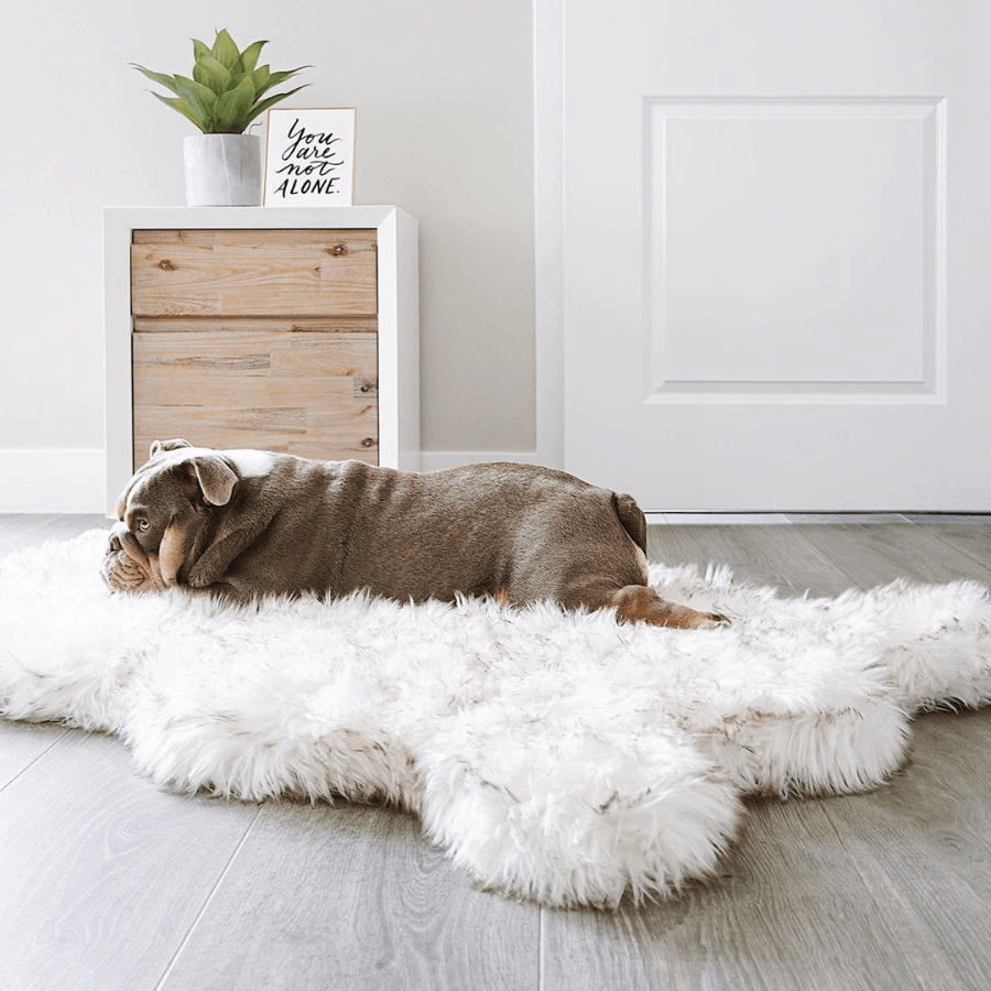 Paw.com x BarkBox PupRug™ Faux Fur Orthopedic Dog Bed - White with Brown Accents