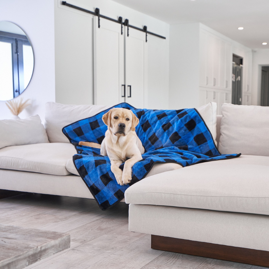 Paw.com x BarkBox PupProtector™ Waterproof Throw Blanket - Short Fur Blue Plaid