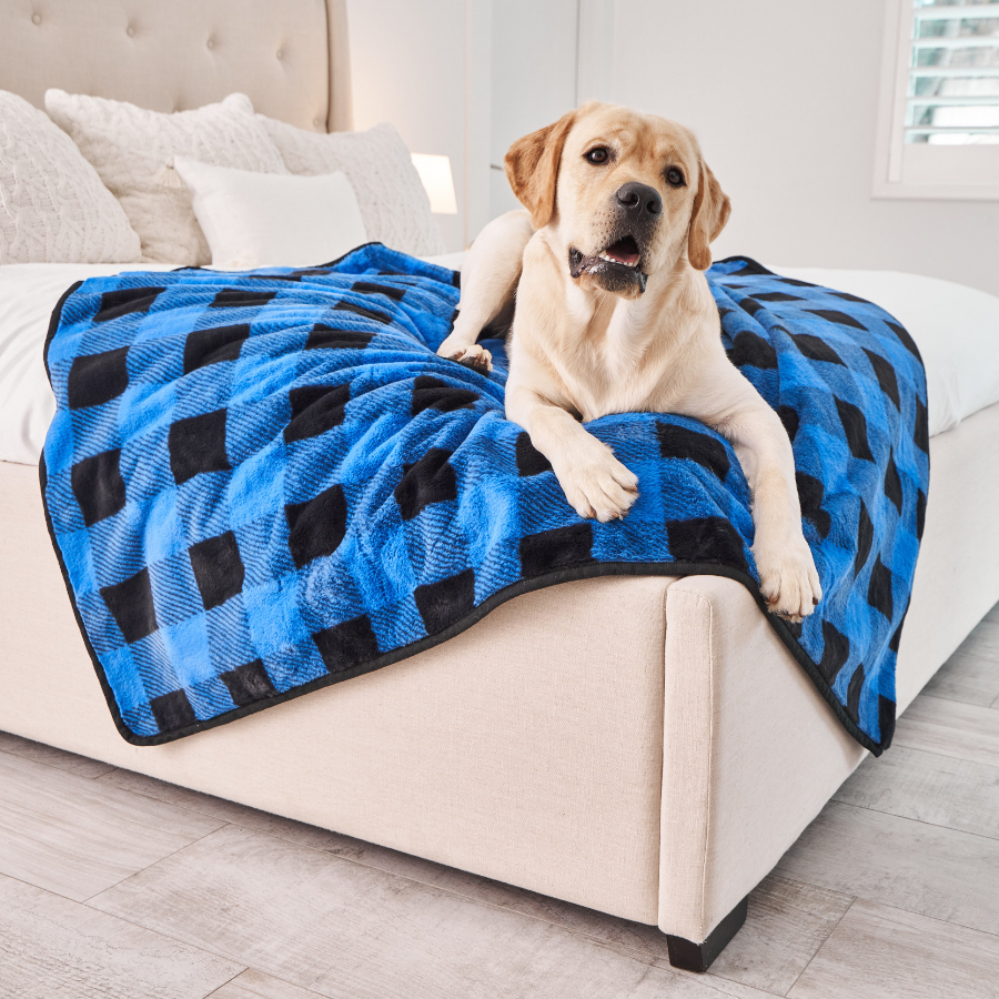 PupProtector™ Short Fur Waterproof Throw Blanket - Blue Plaid