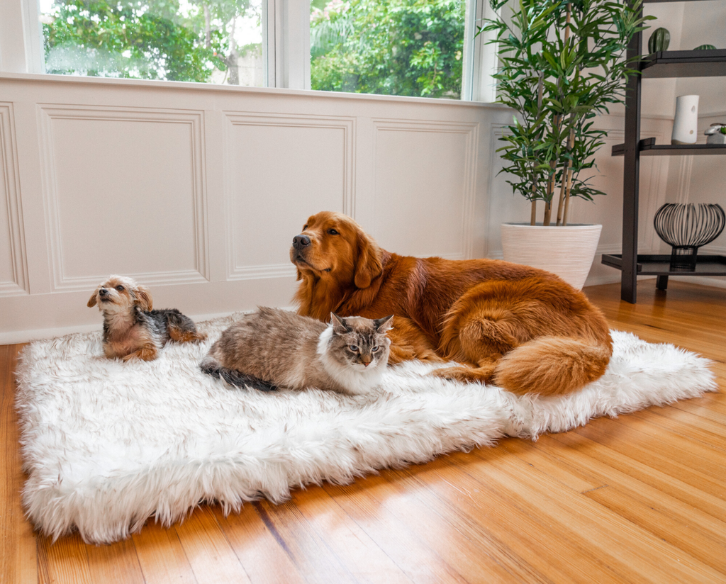 PupRug™ Faux Fur Orthopedic Dog Bed - Rectangle White with Brown Accents
