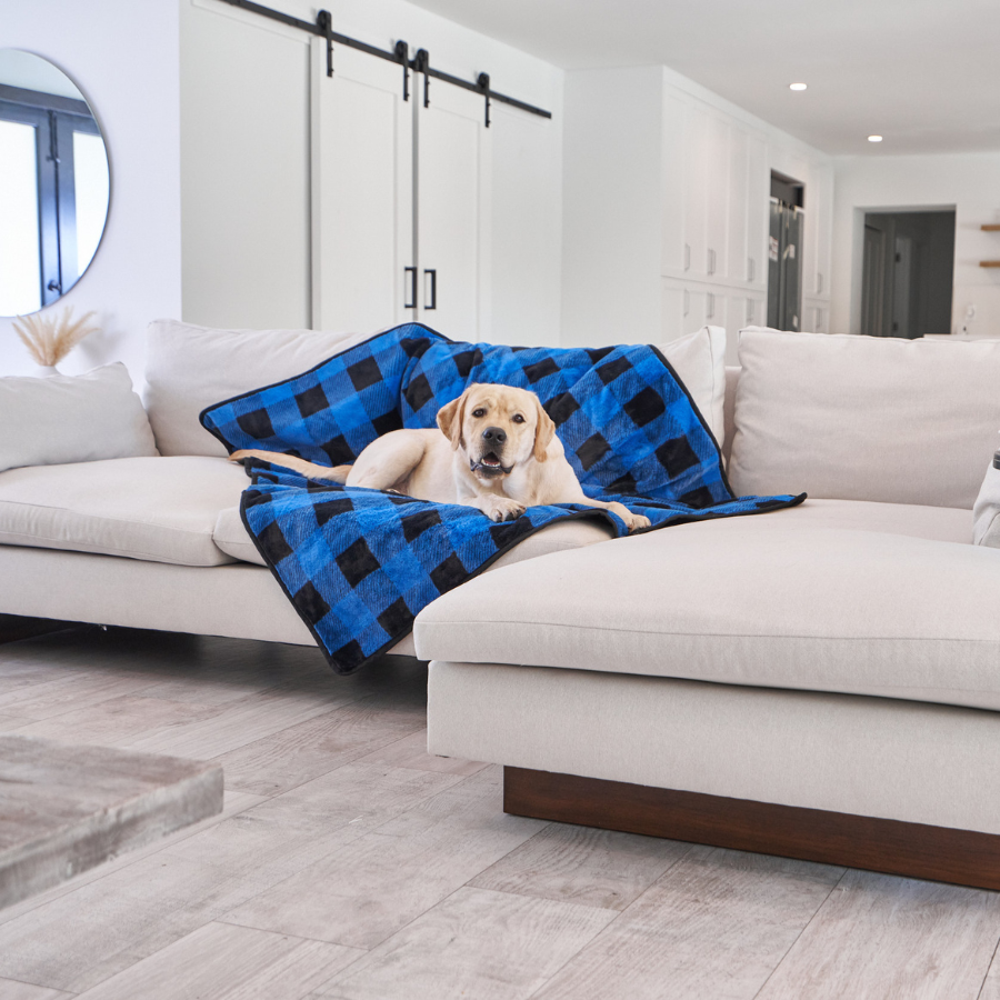 Paw.com x BarkBox PupProtector™ Waterproof Throw Blanket - Short Fur Blue Plaid
