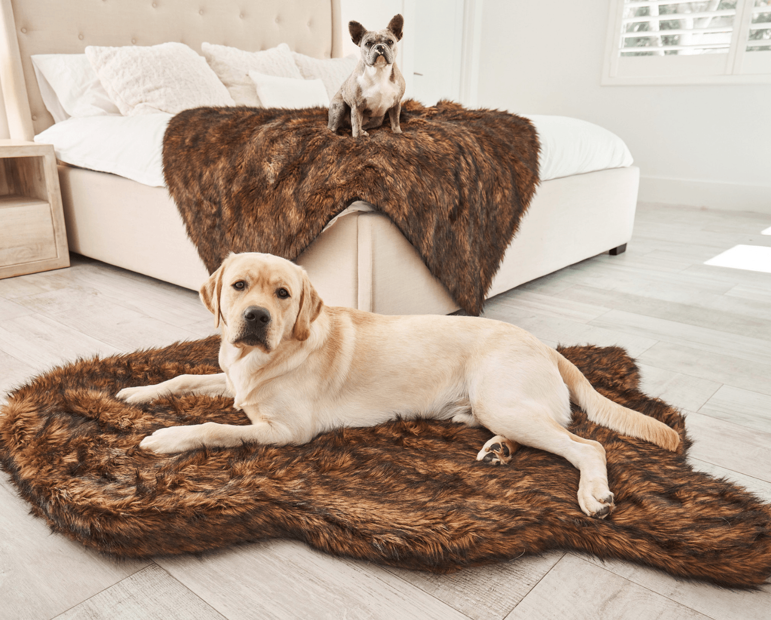 PupRug™ Orthopedic Bed + Matching Waterproof Blanket Bundle - Brown